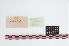 Etiketten zu Bronzebreitrandfußschale (NHMW-PRAE-024138)